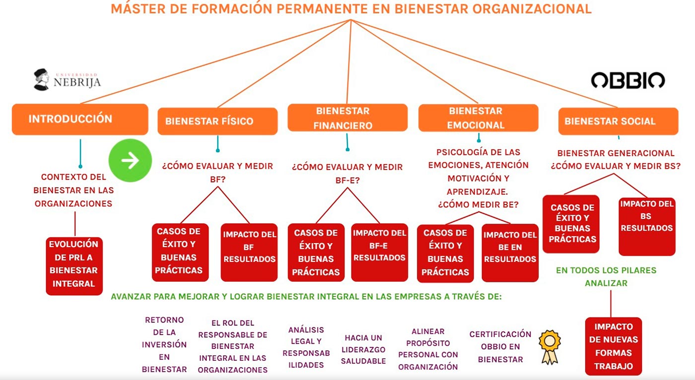 Marco del Máster en Bienestar Organizacional Integral