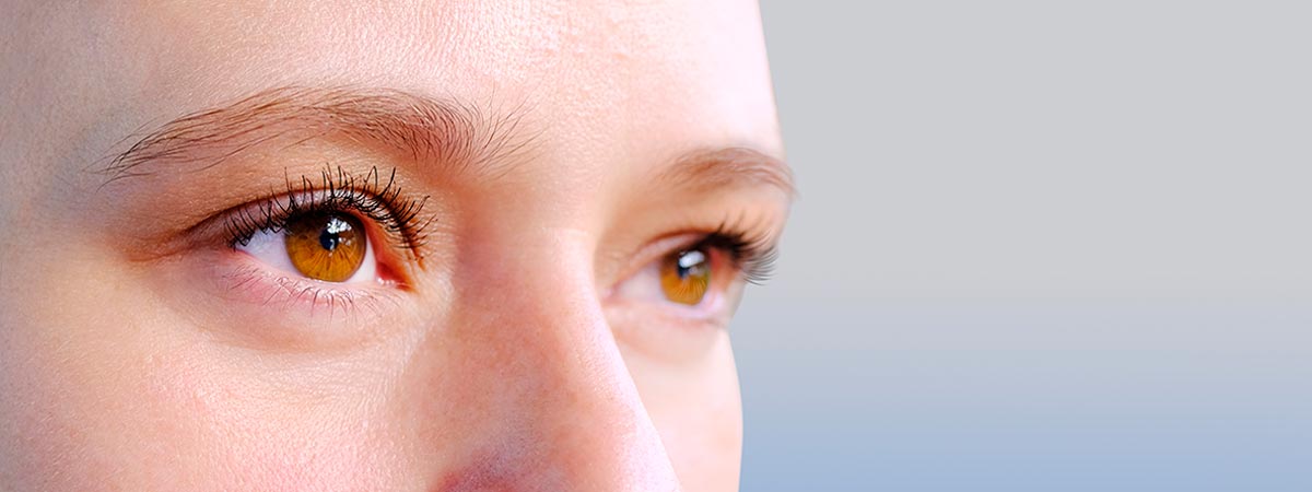 Curso en Formación introductoria al eye-tracking