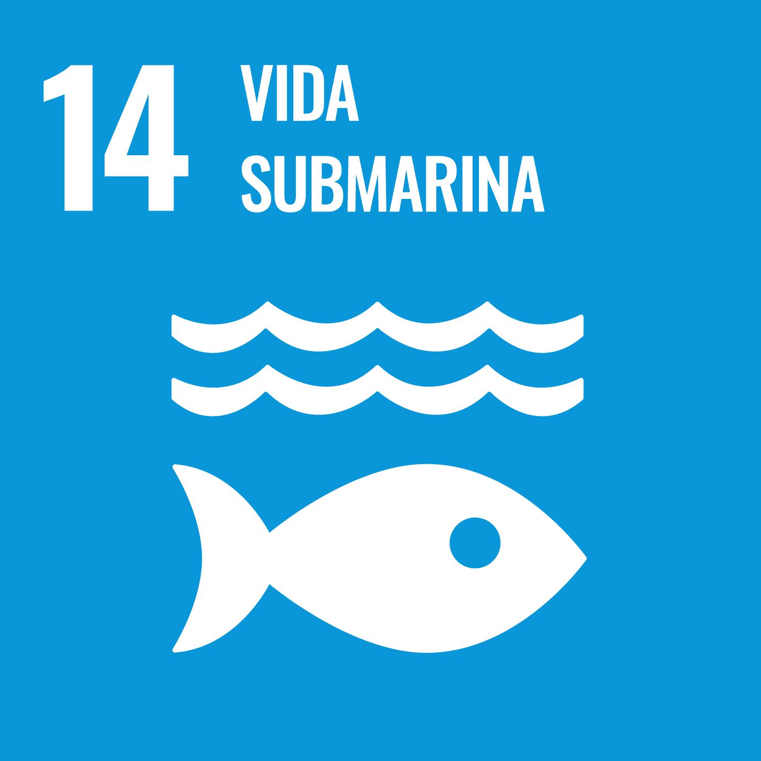 SDG
