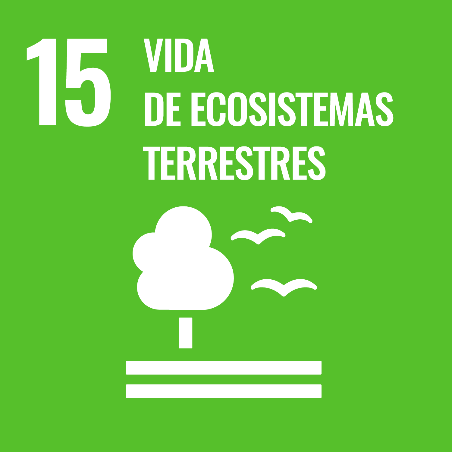 SDG