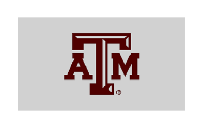 empresa colaboradora