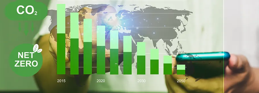 Por qué estudiar el Máster en Sostenibilidad y Economía Circular